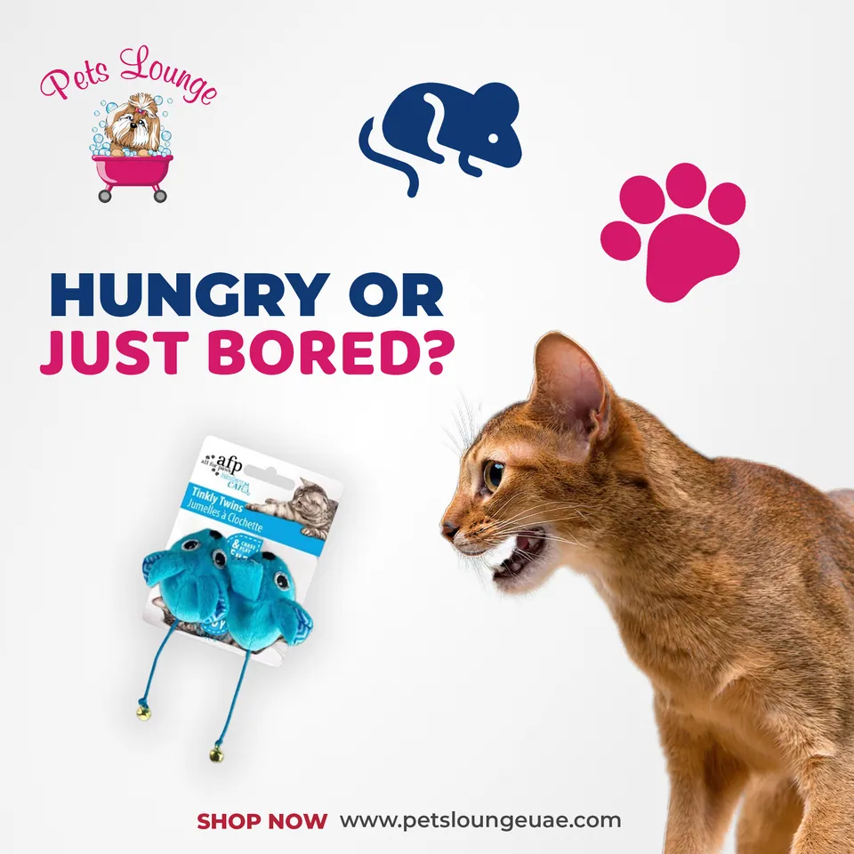 Pets Lounge, image 5