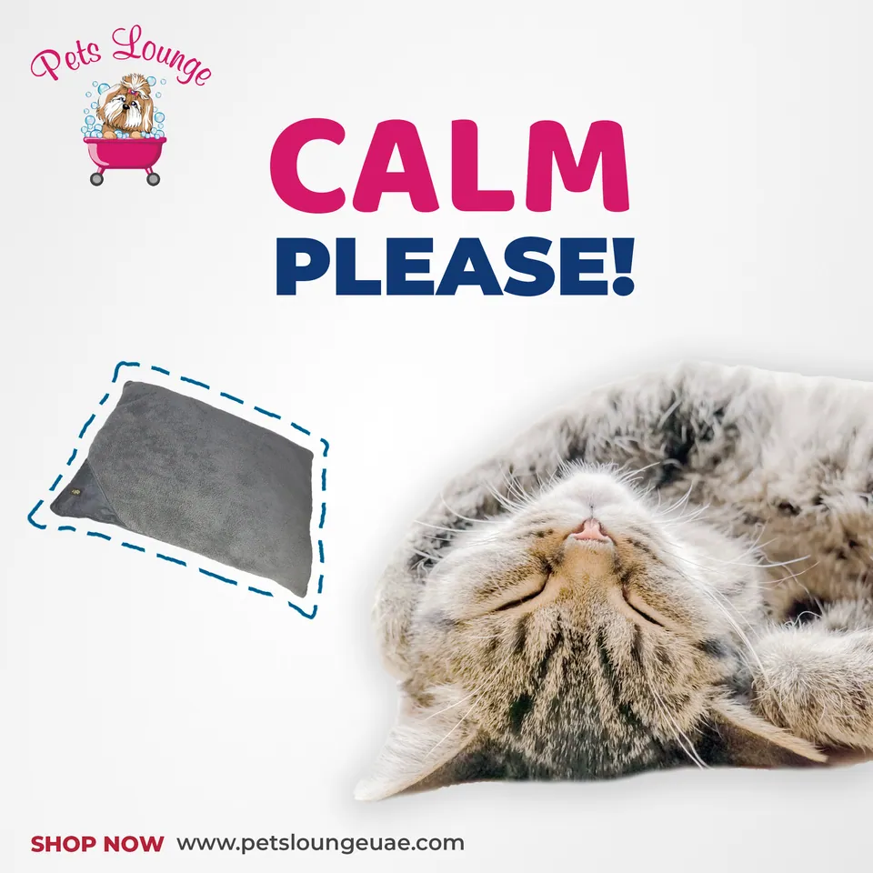 Pets Lounge, image 7