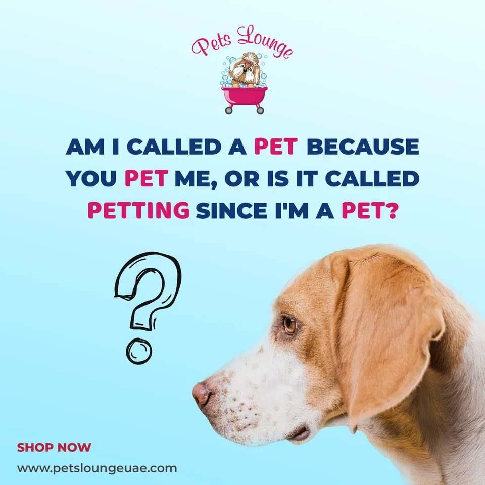 Pets Lounge, image 9
