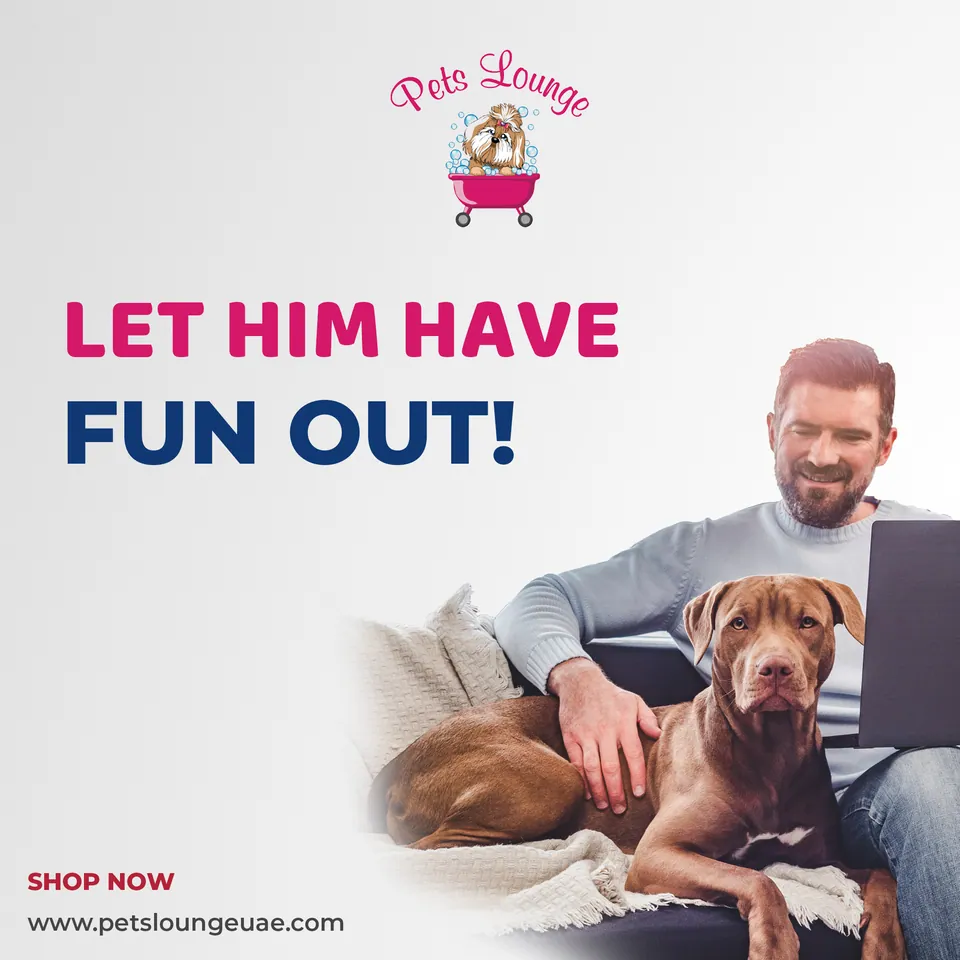 Pets Lounge, image 10
