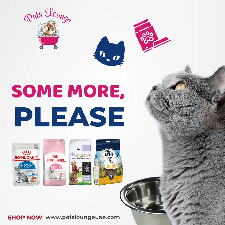 Pets Lounge, image 12