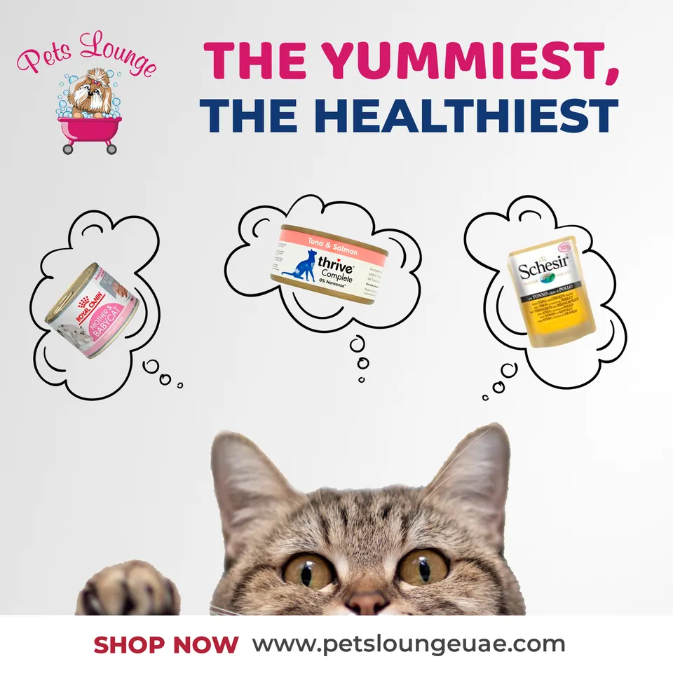 Pets Lounge, image 13
