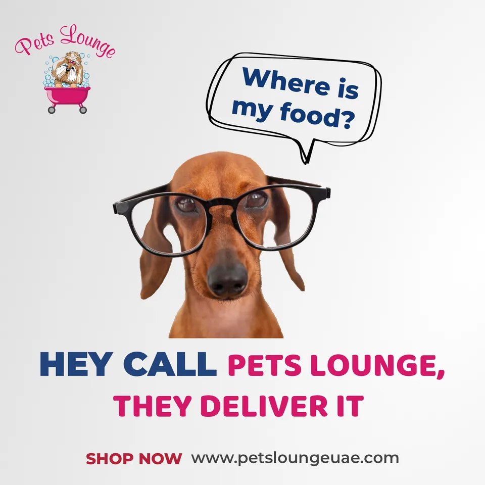 Pets Lounge, image 15